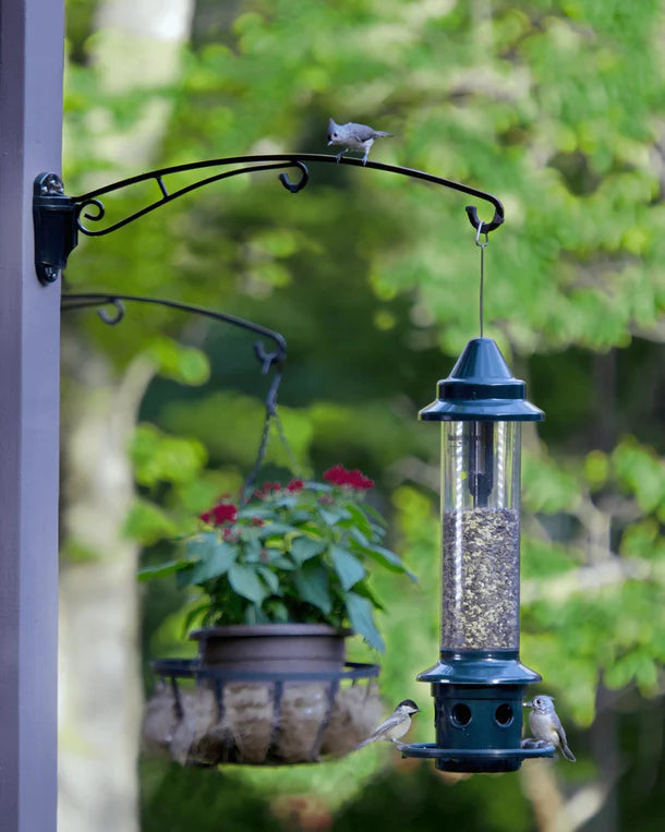 Birds Up Hanging Bracket
