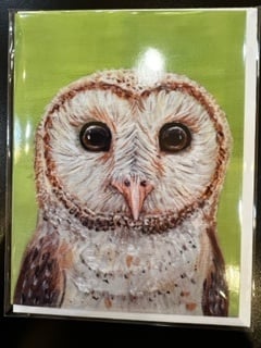 Alicia Galambos Asst Note Cards