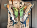 Medium Mint Green Butterfly Wall Art