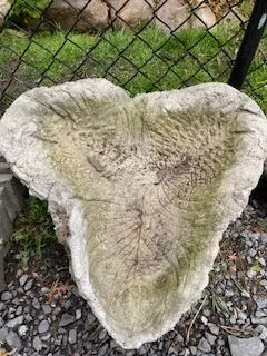 TRILLIUM BIRDBATH-Medium