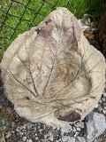 XTRA SMALL RHUBARB CEMENT BIRDBATH