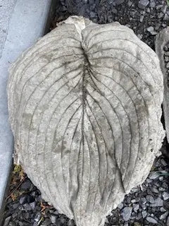 Small Hosta Leaf Cement Birdbath