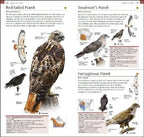 DK Pocket Birds of Canada