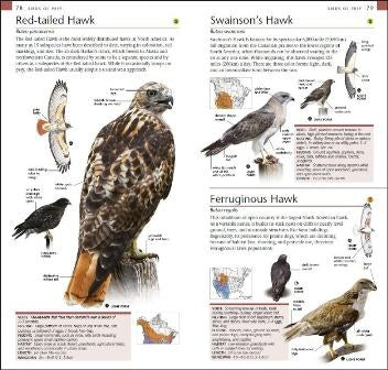 DK Pocket Birds of Canada