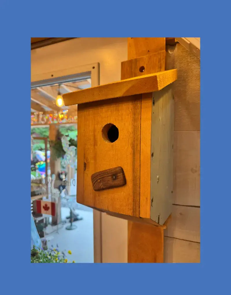 Blue and Pine Bird House 1 1/2" port (universal).