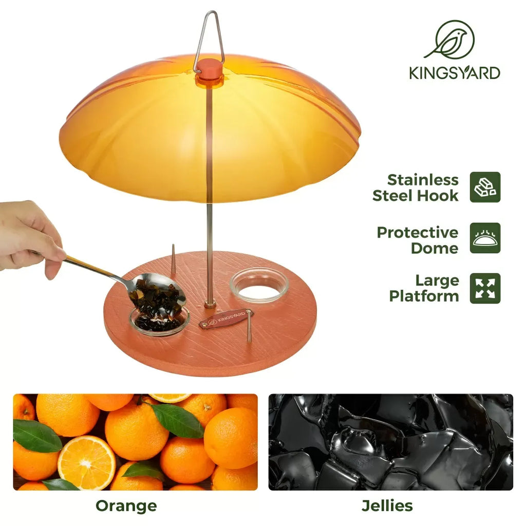 Domed Oriole Feeder