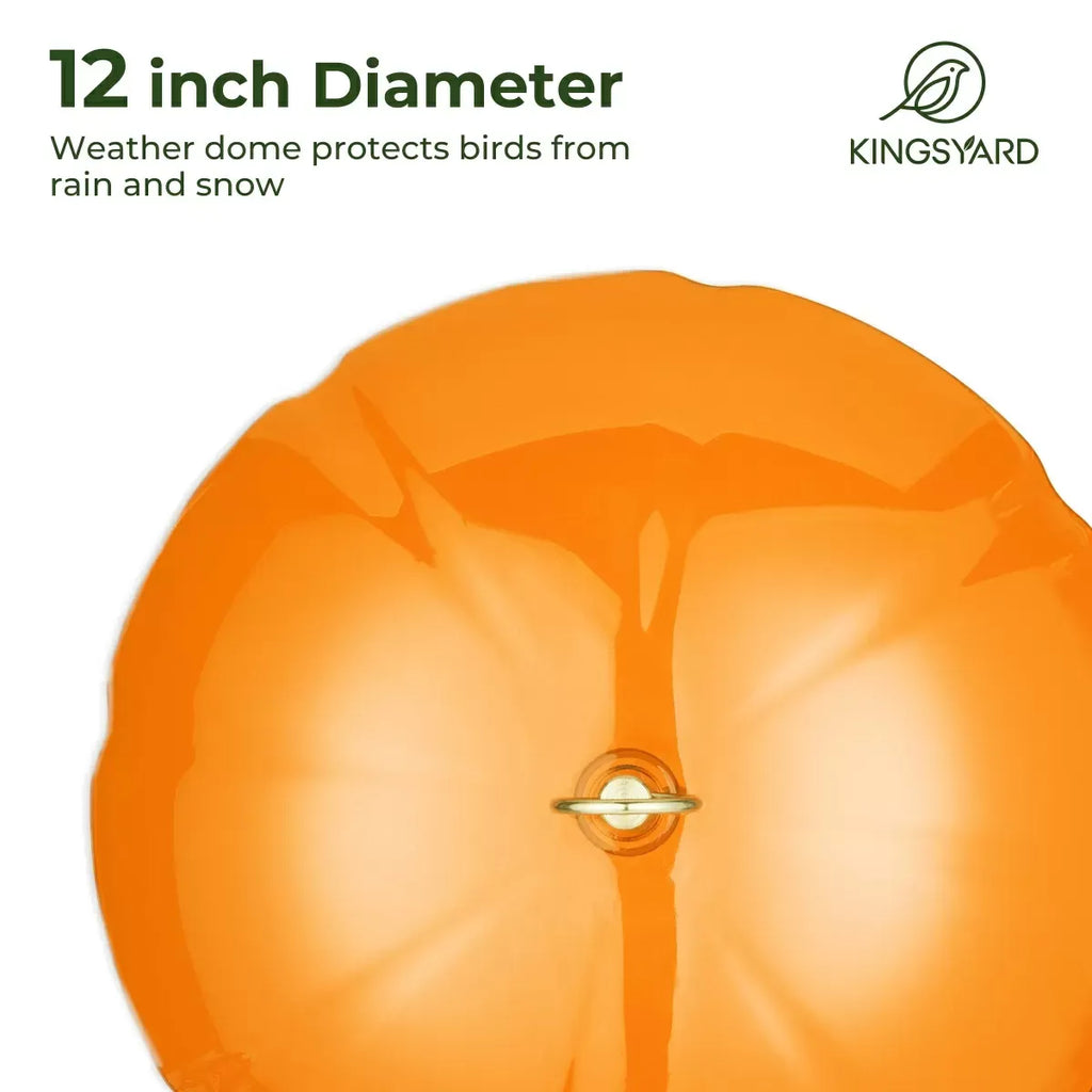 Domed Oriole Feeder