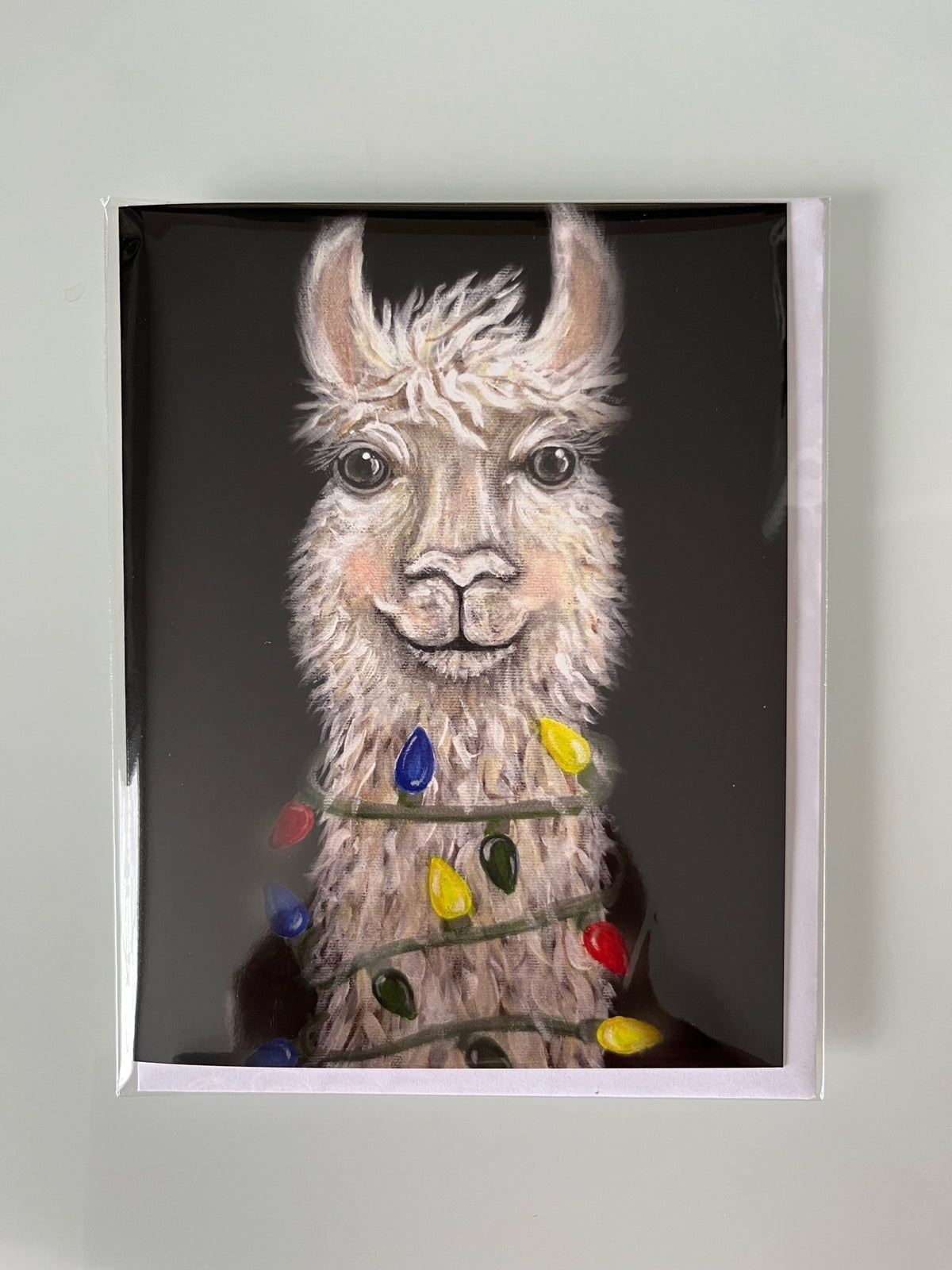 Alicia Galambos Asst Christmas Note Cards