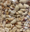 Premium Peanuts - Shelled • Roasted • No Salt