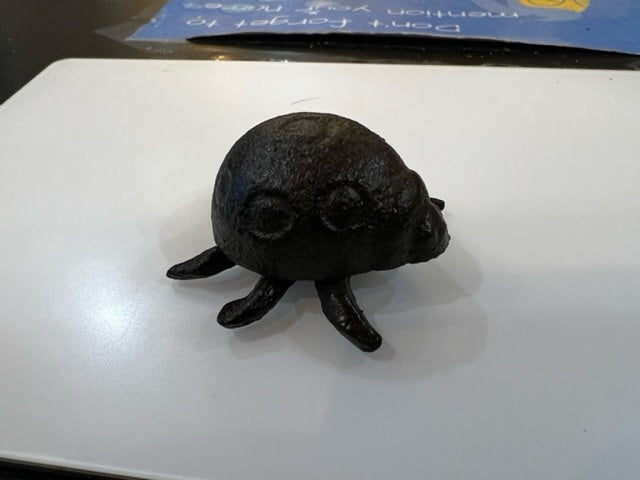 Cast Iron Mini's