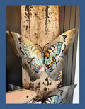 Large Multicoloured Butterfly