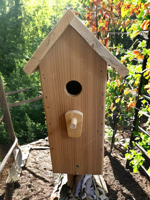 Jean Long Birdhouse #964, 1 3/8"" Hole