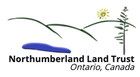 Northumberland Land Trust/Lone Pine Land Trust Donation