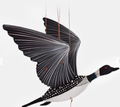 Loon Flying Mobile