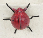 Sm Hanging Ladybug-Antique Red- 2.5"H (No Pot included)