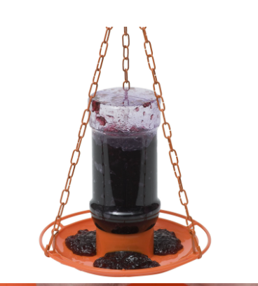 Oriole Jelly Feeder