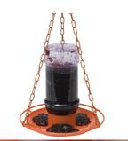 Oriole Jelly Feeder