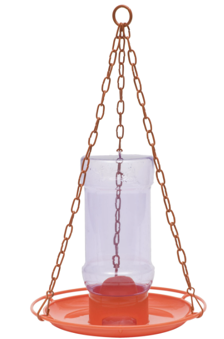Oriole Jelly Feeder