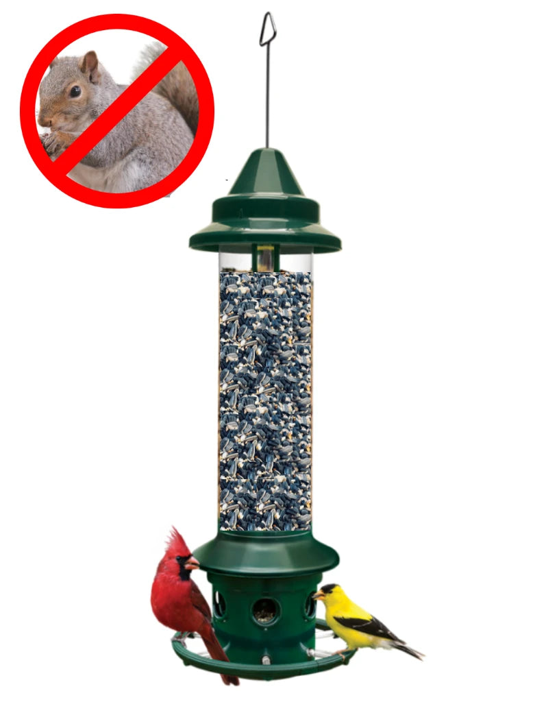 Squirrel Bstr Plus w/ Rng