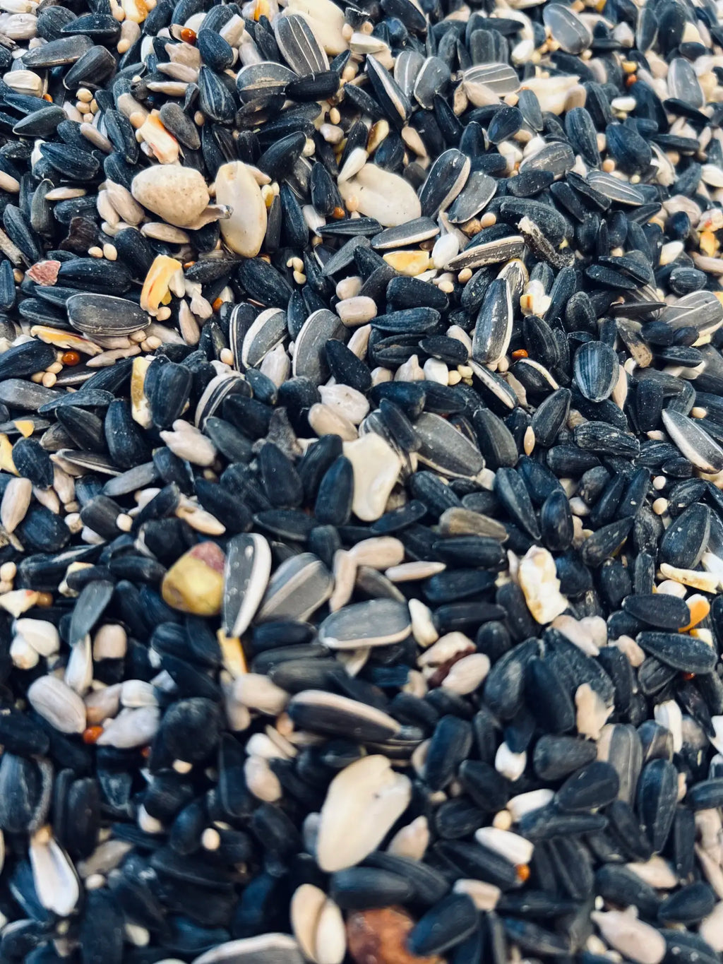 Premium Right Stuff Birdseed (Refill Program)
