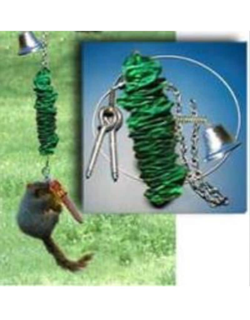 Squirrel Bungee