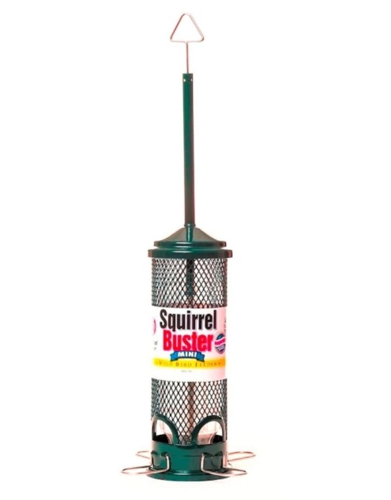 Squirrel Buster Mini