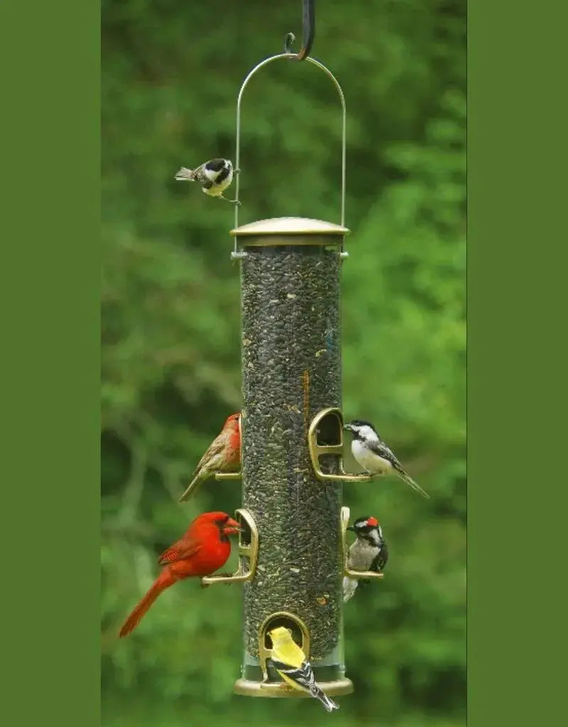 Aspects Big Tube Brass