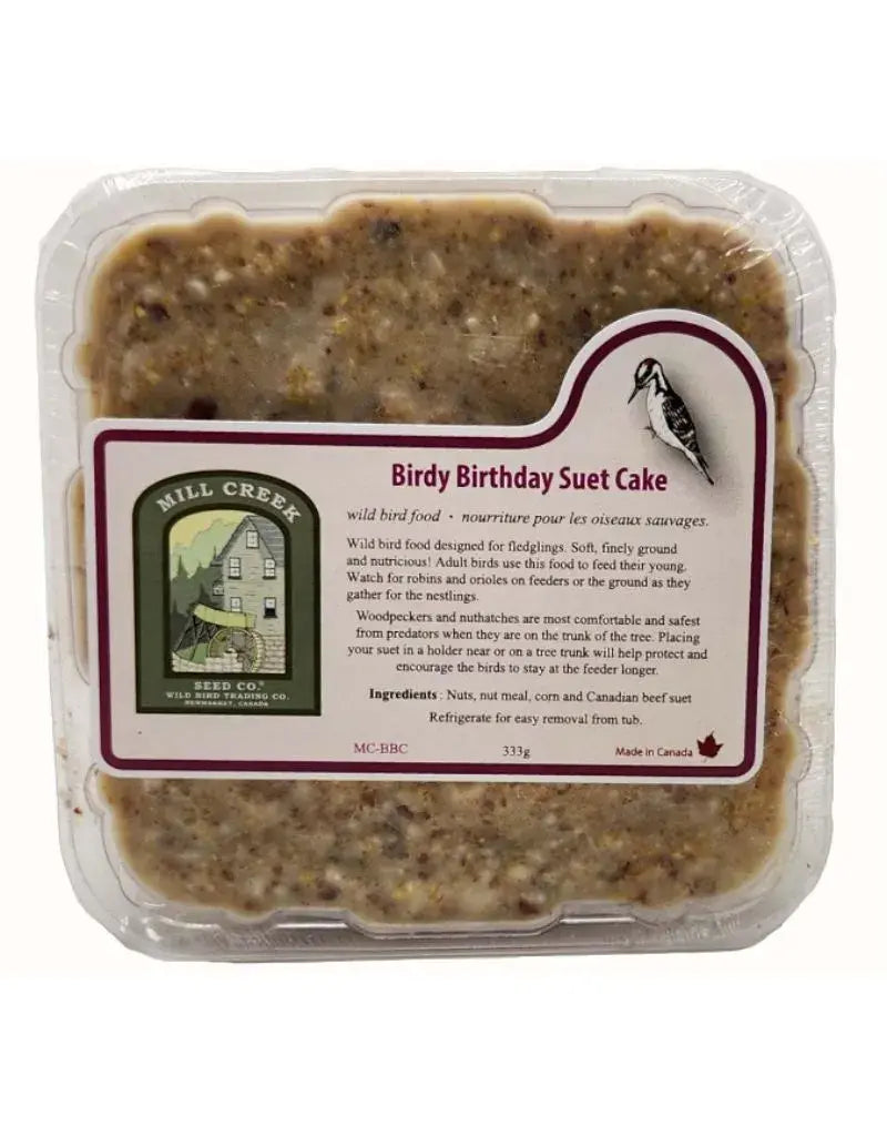 WFBBC Birdy Birthday Suet Cake