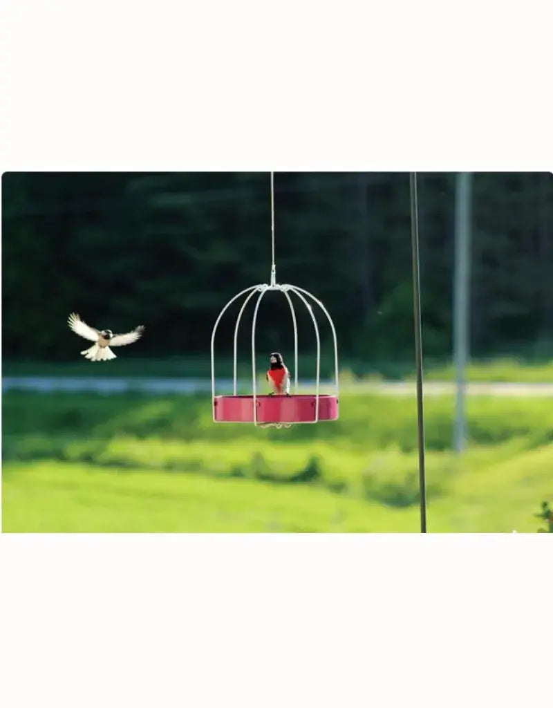 Framed Metal Platform Feeder-Fuchsia