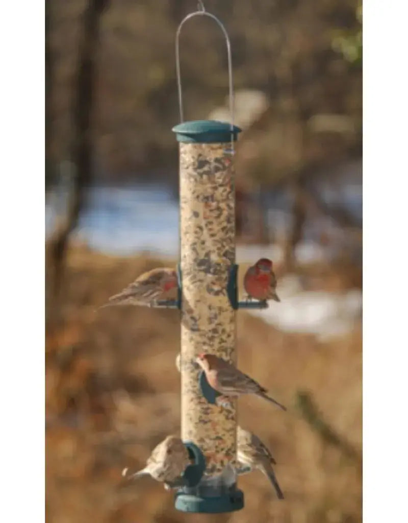 Large Seed Tube - Spruce