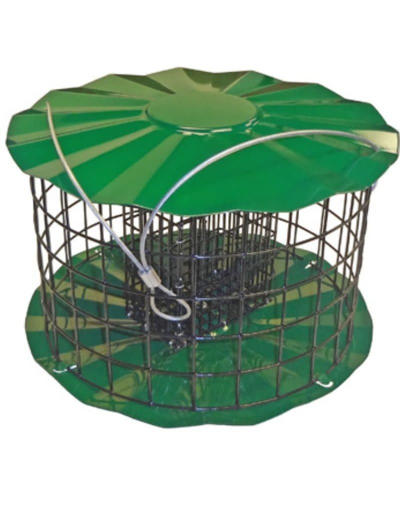 Double Suet Feeder with Cage