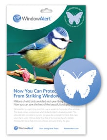Window Alert Stickers
