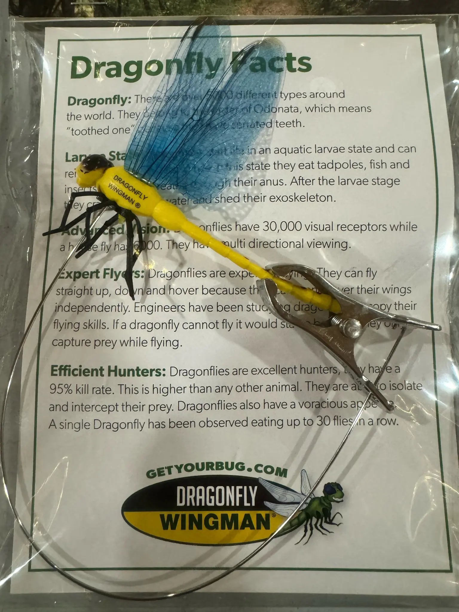 Dragonfly Wingman - deters horse & deer flies